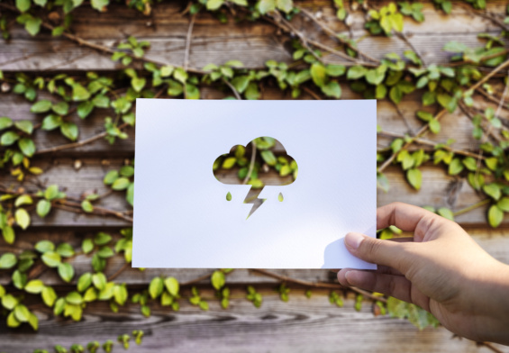 green hosting come fare