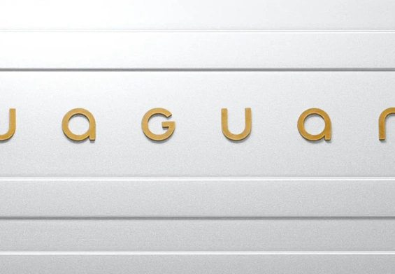 Rebranding Jaguar