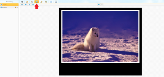 IPiccy App Per Editing Fotografico SaGrafica it