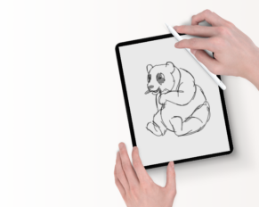shadowdraw app