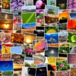 Uniformità cromatica: cos’è e come crearla