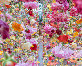 Rebecca Louise Law