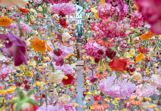 Rebecca Louise Law