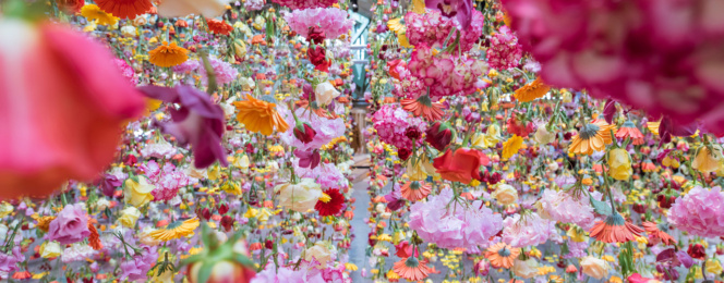 Rebecca Louise Law