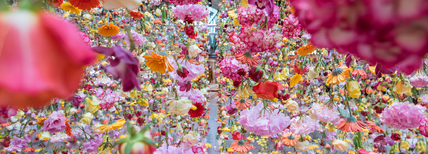Rebecca Louise Law