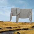 Clothes Lines Animals: le opere di Helga Stentzel