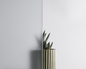 interior design 2025
