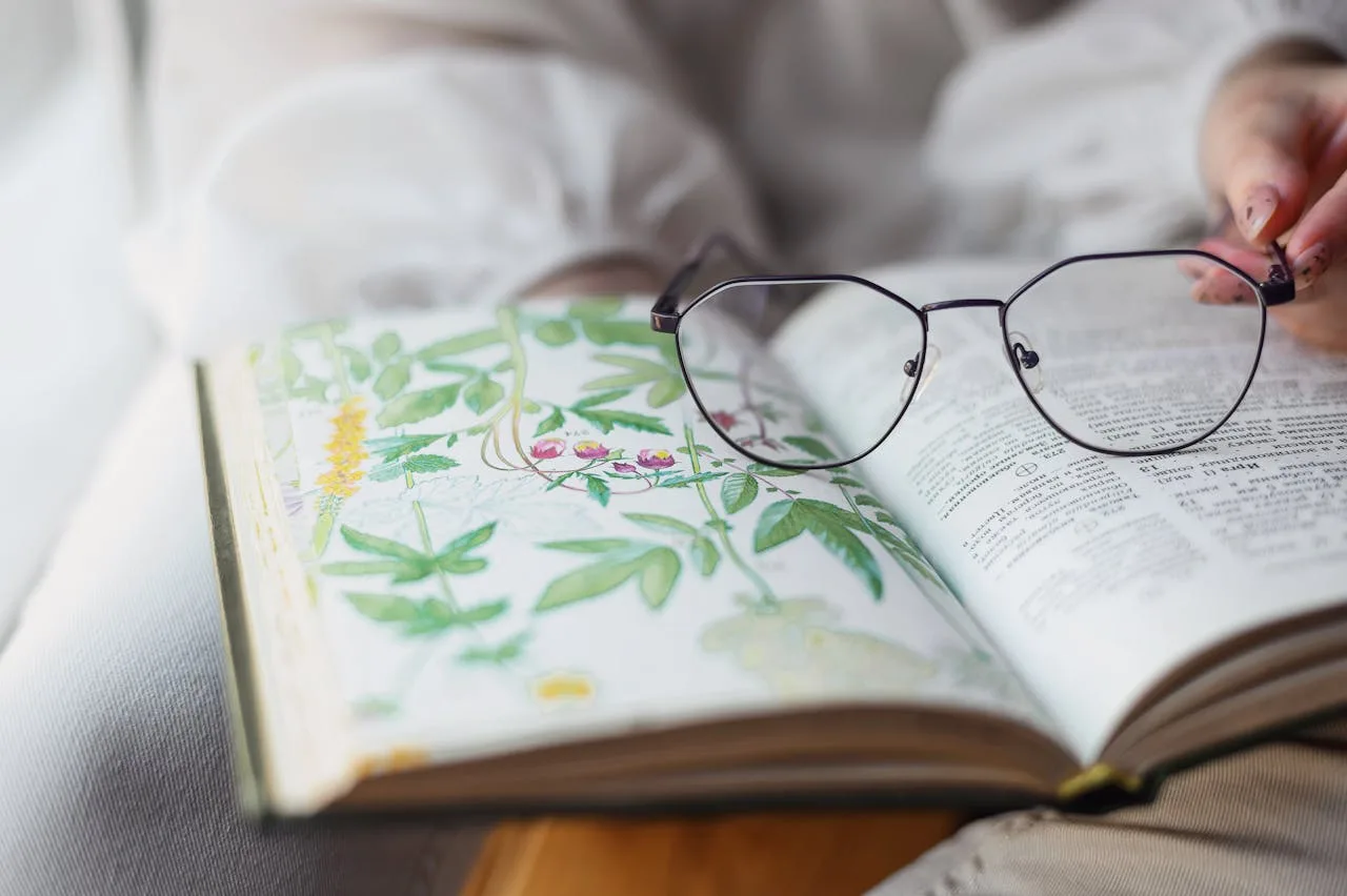 Illustrazione botanica