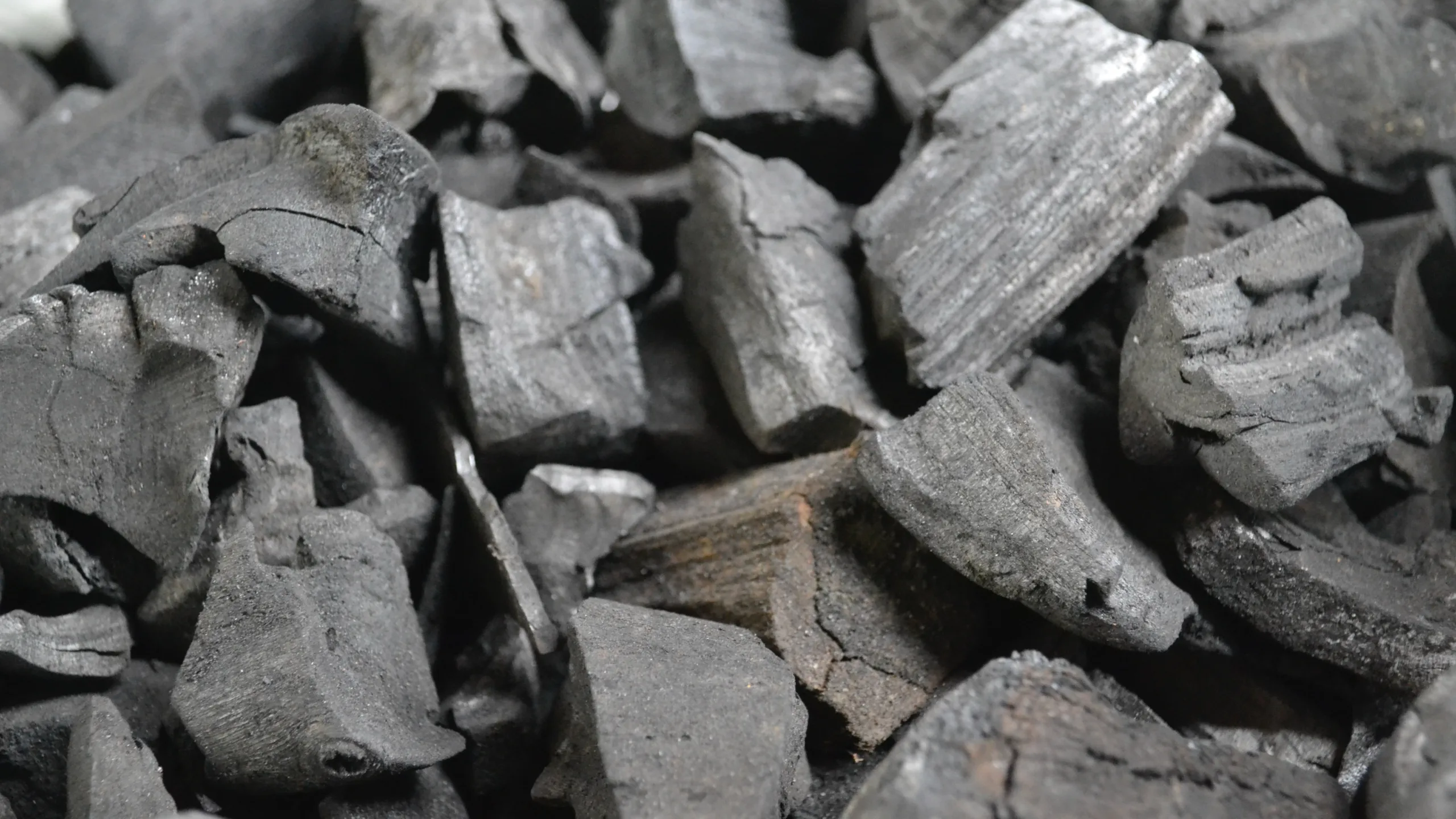 Biochar - il carbone nell'arte