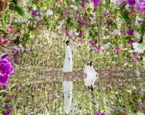 TeamLab Planets