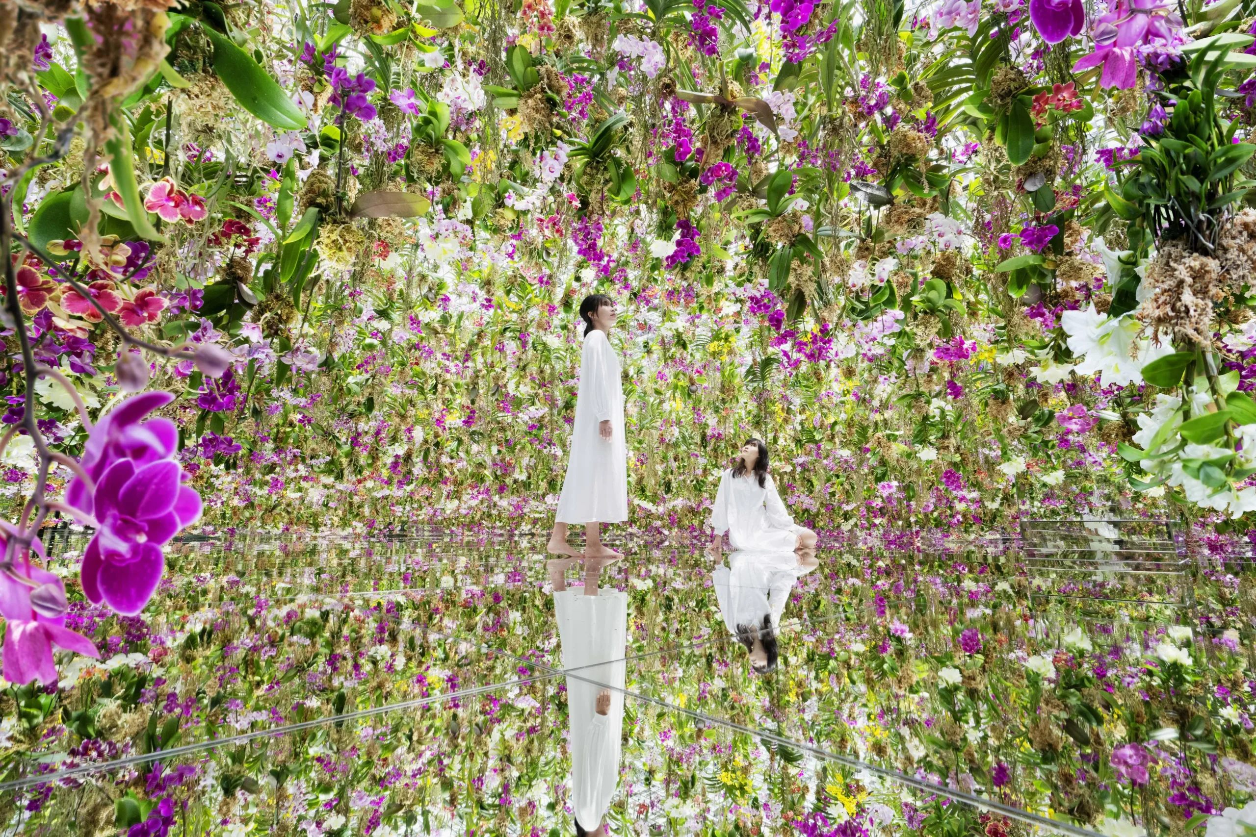 TeamLab Planets