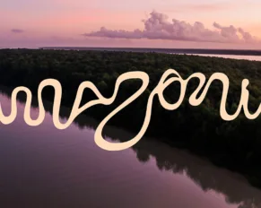 Il logo dell'Amazzonia