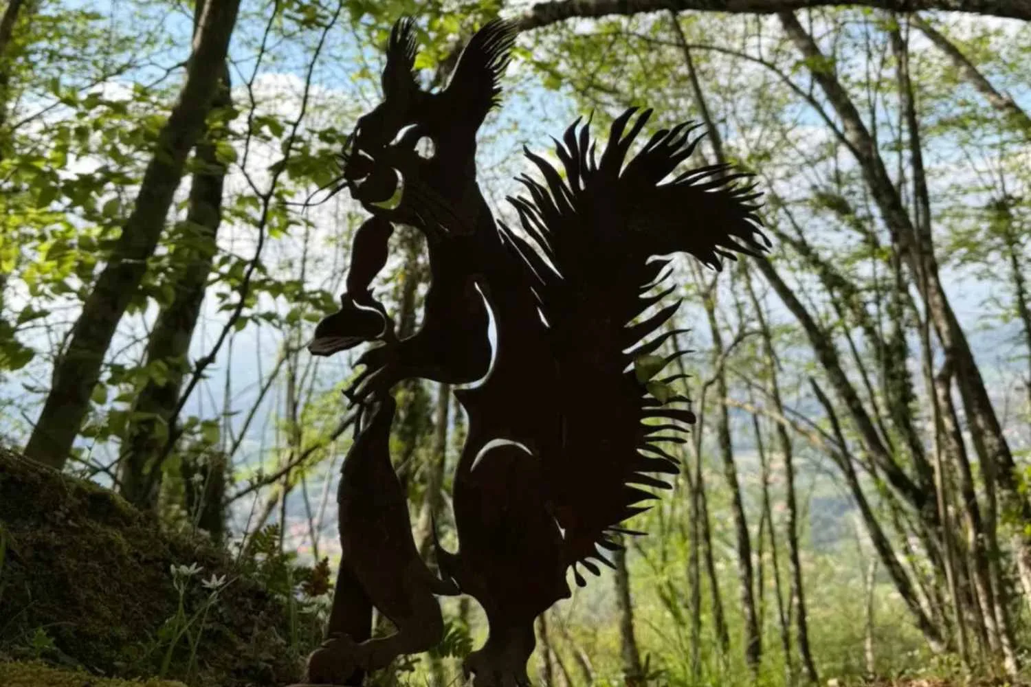 Museo diffuso del bosco
