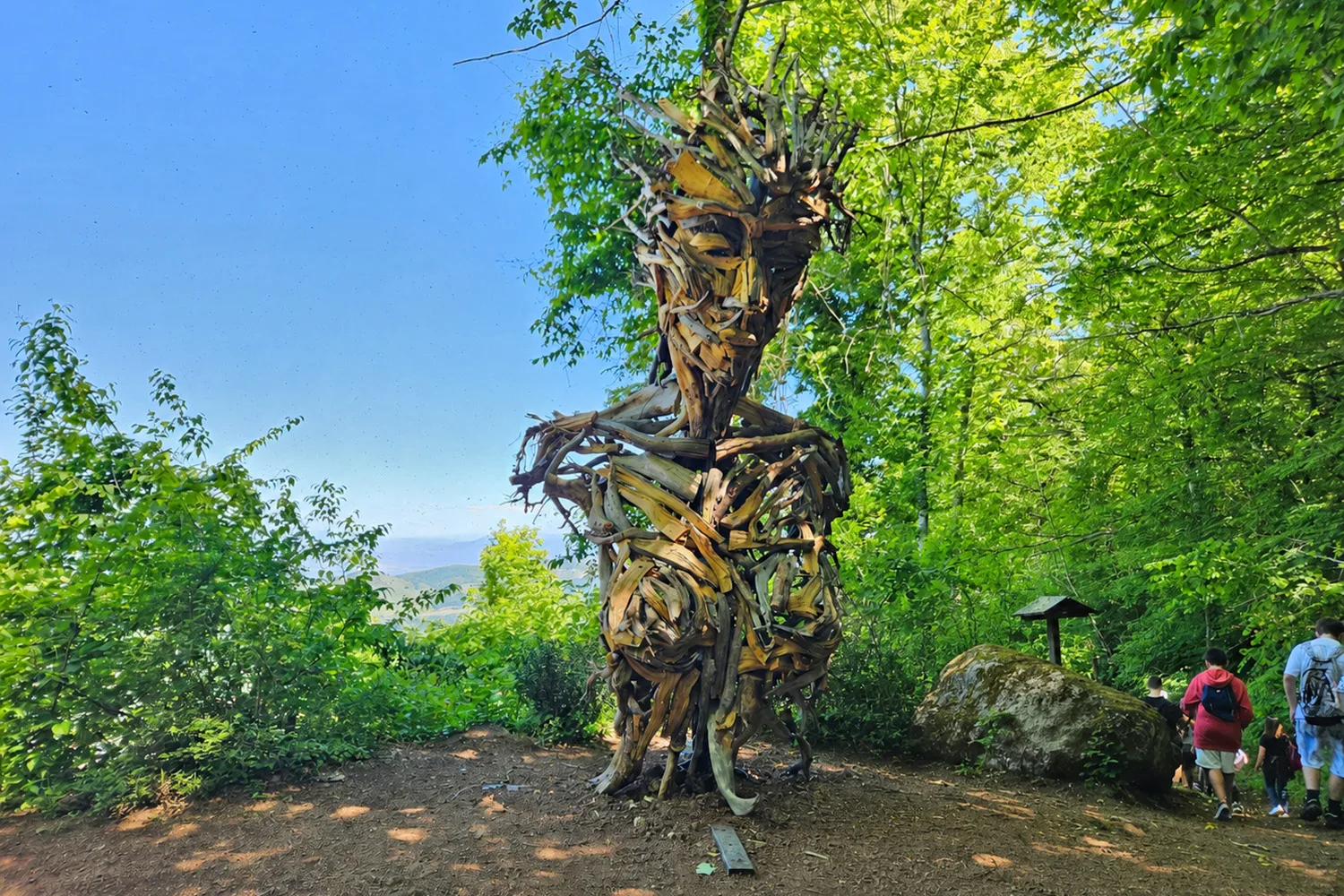 Museo diffuso del bosco