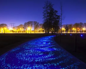 Van Gogh Path