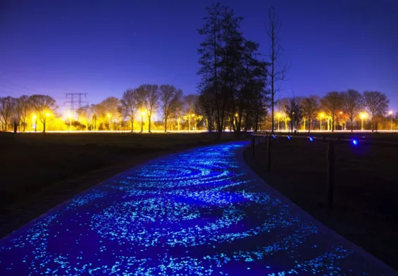 Van Gogh Path