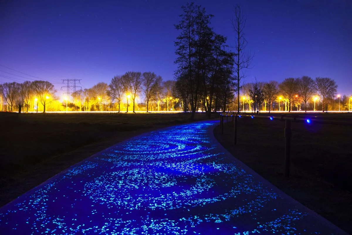 Van Gogh Path
