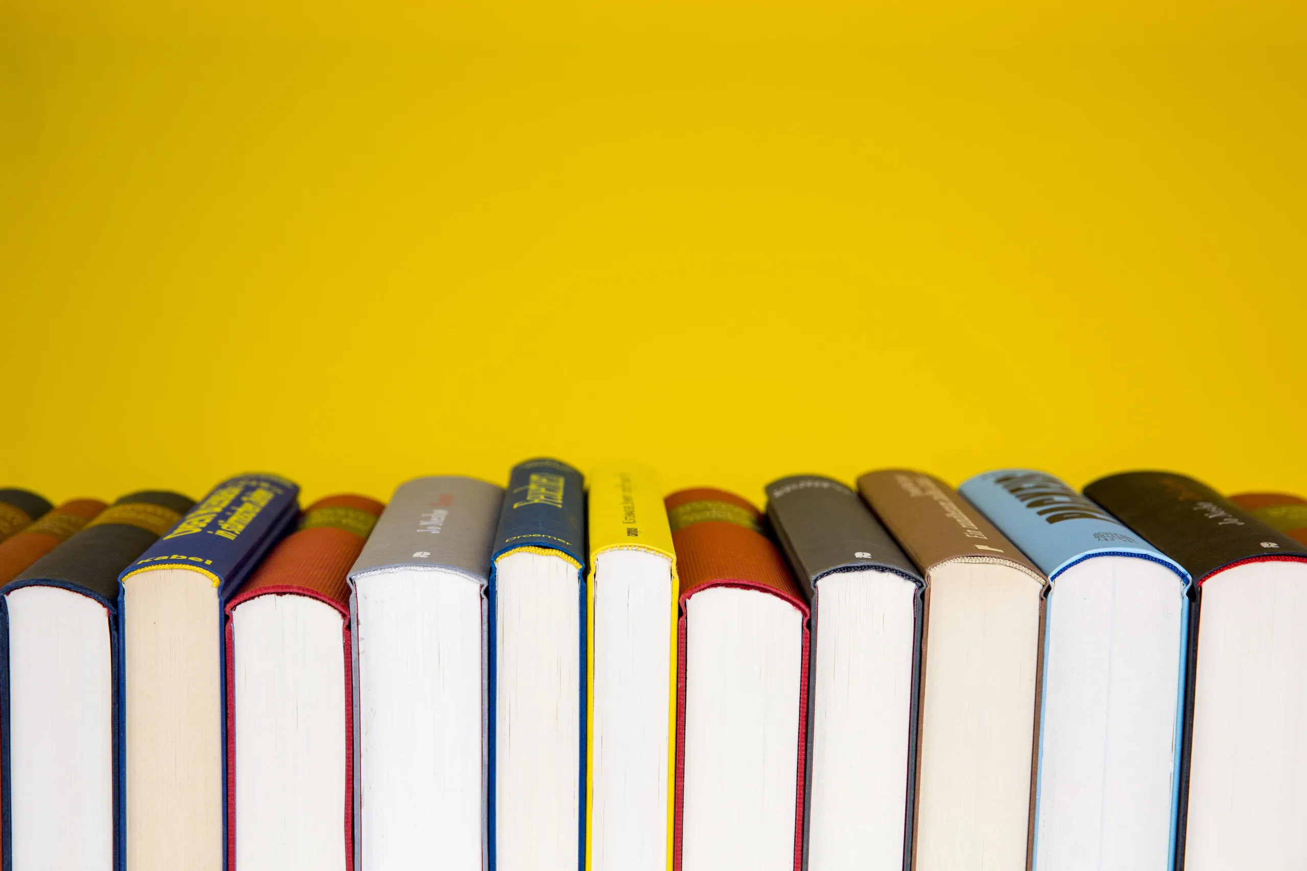 Libri sul logo design