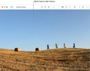 icone personalizzate su mac