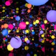 Yayoi Kusama a Torino