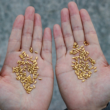 Yang Yexin: Art or Gold a Venezia
